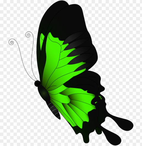 reen butterfly clip art - green butterfly PNG images with alpha transparency wide collection