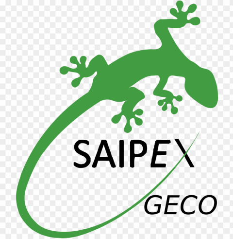 reen gecko lizard vector clipart image - marchand de passées le - mass market PNG images free download transparent background