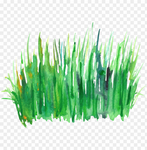 reen grass cluster transparent decorative - green watercolor grass Clear Background Isolated PNG Icon