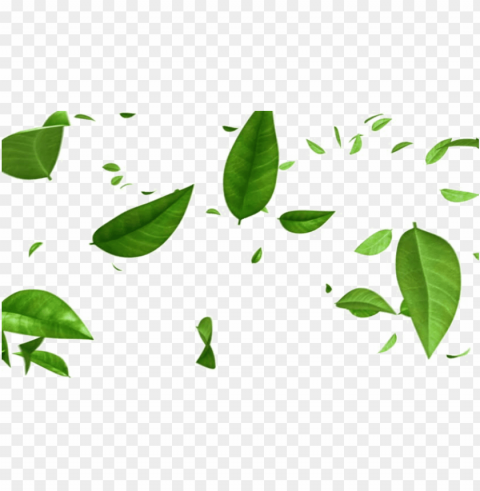 reen leaf photos - green leaves falling background PNG Image with Transparent Isolated Design