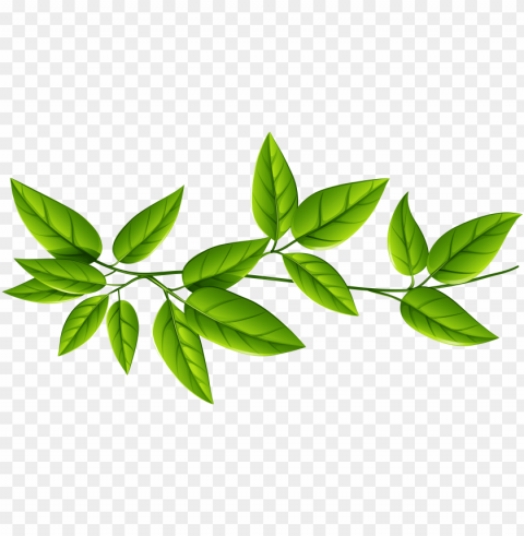 reen leaves background HighResolution PNG Isolated Artwork