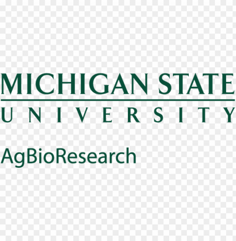 reen logo - michigan state logo no background PNG graphics with clear alpha channel selection