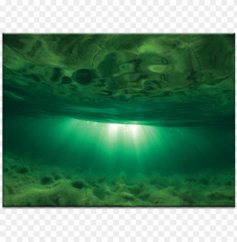 reen rays - painti Isolated Subject in HighQuality Transparent PNG