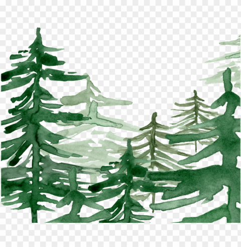 reen watercolor hand painted forest - watercolor painti Isolated Item with HighResolution Transparent PNG