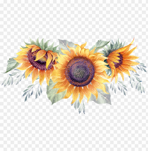 reen watercolor hand painted sunflower transparent - girassol convites PNG photo