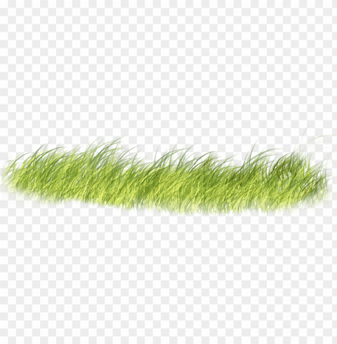render grama - grass psd Free PNG images with transparent layers compilation