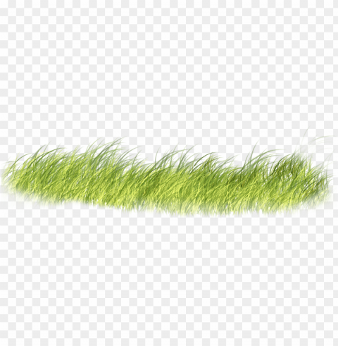 render grama - grass psd Free PNG images with transparent layers compilation PNG transparent with Clear Background ID 43b6531d