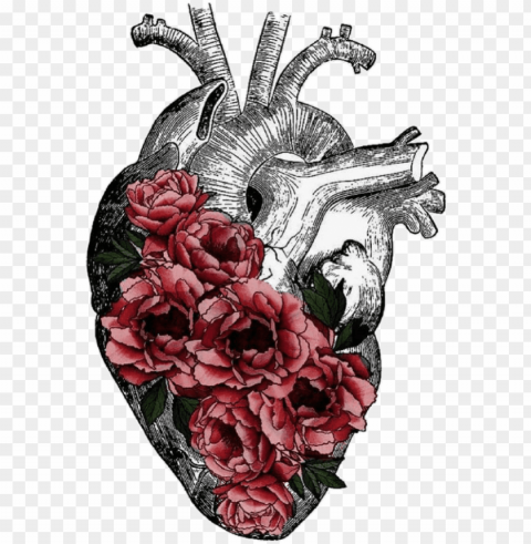 replace veins with tree roots anatomy art heart anatomy - human heart flowers drawing PNG with transparent background free