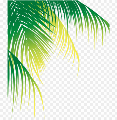 report abuse - coconut leaf vector High-resolution transparent PNG images comprehensive assortment