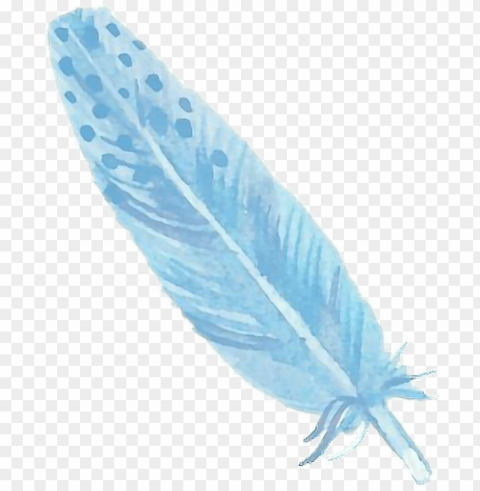 report abuse - earrings feather feather - 25 Transparent PNG Artwork with Isolated Subject