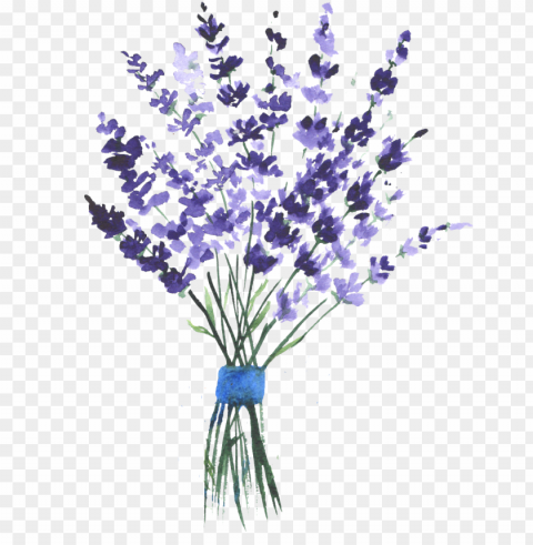 report abuse - lavender plants bullet journal Background-less PNGs