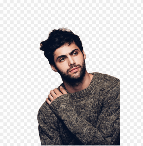report abuse - matthew daddario Isolated Artwork on Transparent PNG