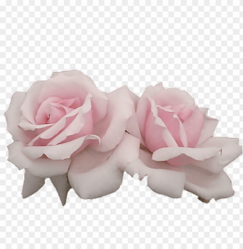 report abuse - pink aesthetic flowers PNG transparent photos library