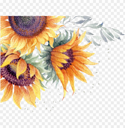 report abuse - transparent sunflower watercolor ClearCut Background PNG Isolated Subject