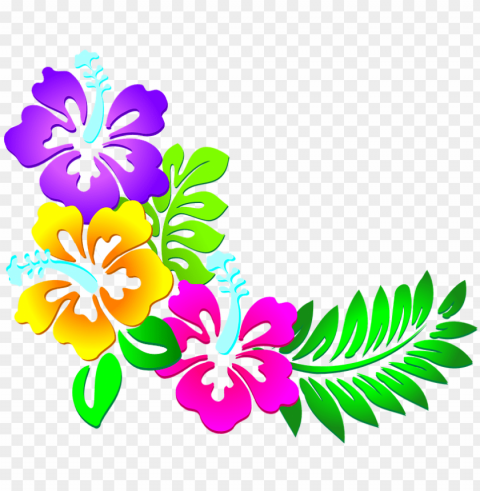resultado de imagen para vectores de flores - corner flower border designs PNG for educational use
