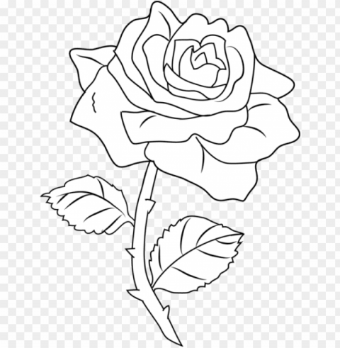 retty rose coloring page - roses outlines PNG with no registration needed