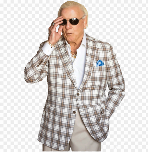 ric flair Clean Background Isolated PNG Illustration