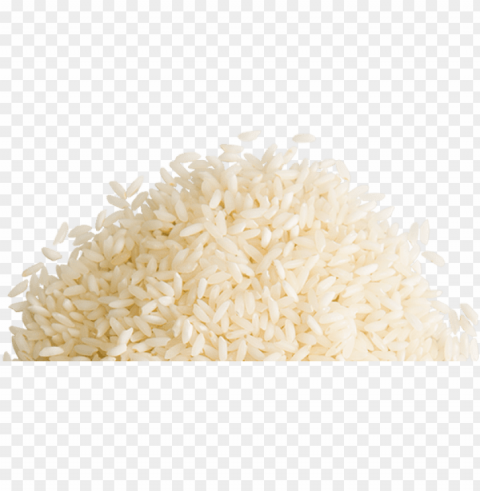 rice grains Free PNG download no background