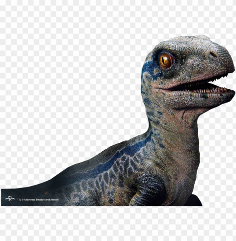 rime1 studio jurassic world the fallen kingdom baby - baby blue jurassic world fallen kingdom PNG Image with Transparent Isolated Graphic