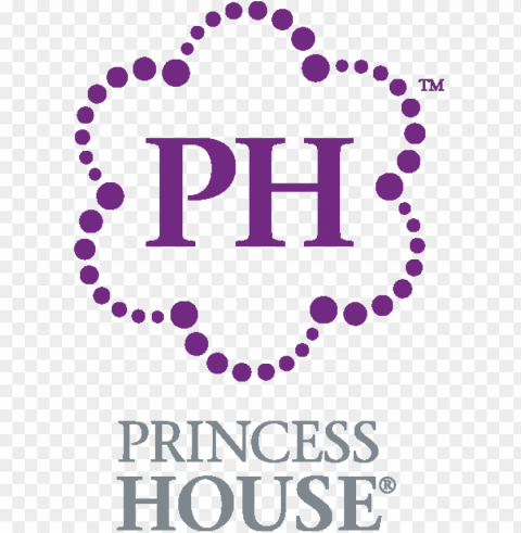 rincess house logo PNG for educational projects