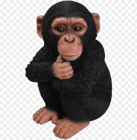 rl baby chimpanzee f - hi-line gift ltd baby monkey statue Clear PNG pictures package
