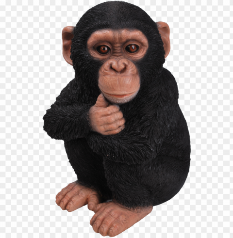 Rl Baby Chimpanzee F - Hi-line Gift Ltd Baby Monkey Statue Clear PNG Pictures Package