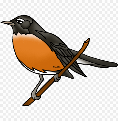 robin Transparent PNG graphics library
