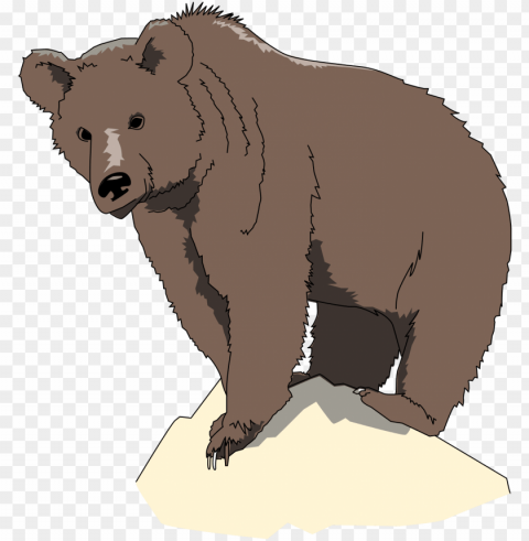 rock clipart - brown bear ico Isolated PNG on Transparent Background