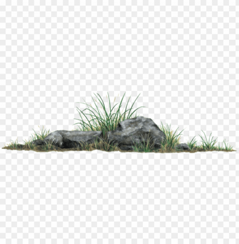 rock grass Clear background PNG images comprehensive package