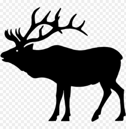 rocky mountain elk silhouette Isolated Object with Transparent Background in PNG