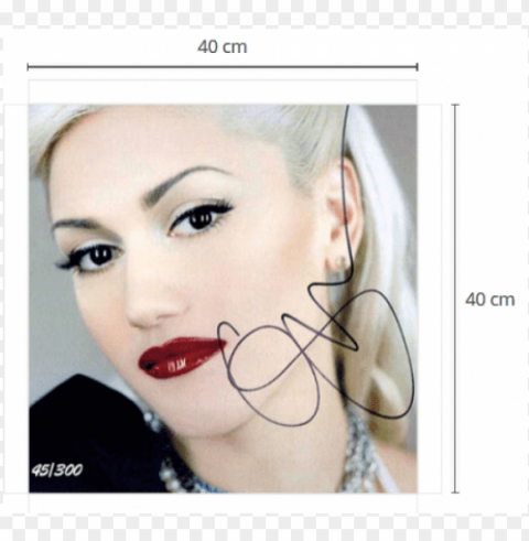 romi-stuff - gwen stefani portrait pop music singer 32x24 print PNG images with high transparency