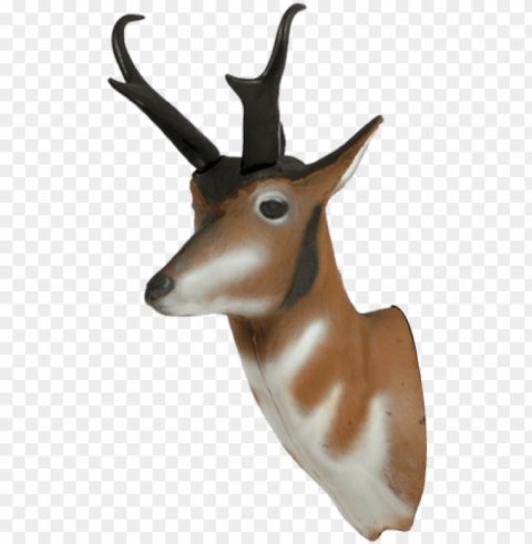 ronghorn antelope archery target replacement head - delta mckenzie pinnacle pronghorn antelope 3-d archery PNG clear images