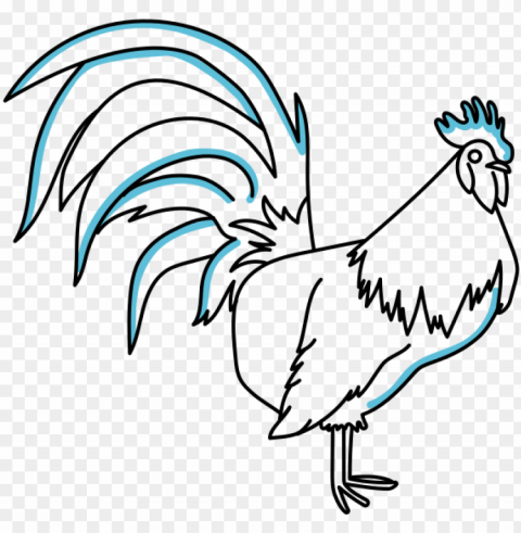 rooster - croquis de un gallo Transparent PNG graphics complete archive