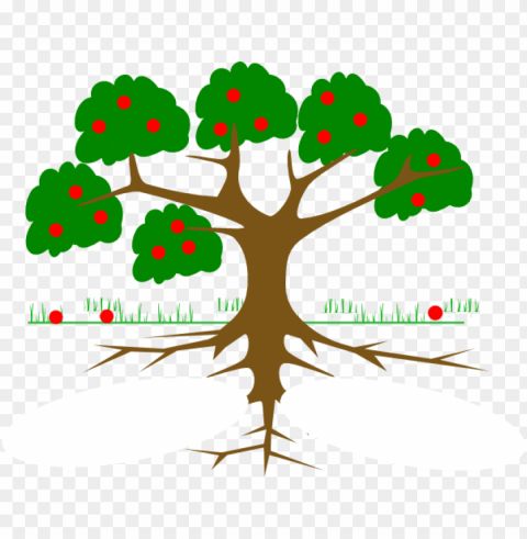 roots clipart tree - fruit tree with roots clipart Transparent PNG stock photos