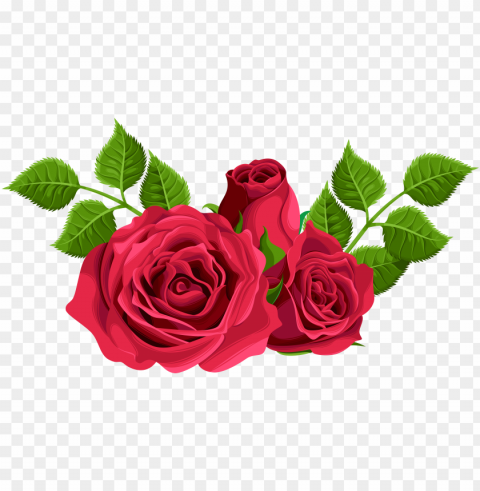 rosas decorativas PNG Graphic with Transparent Background Isolation PNG transparent with Clear Background ID 2974fdfe