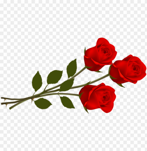 Rosas En - Thank You Rose Flowers Isolated PNG Image With Transparent Background