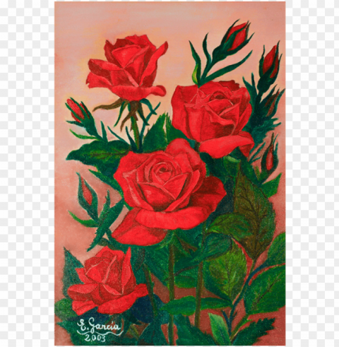 rosas rojas High Resolution PNG Isolated Illustration