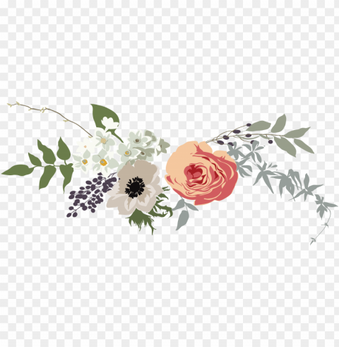 rose banner banner royalty free stock - flower for banner Isolated Artwork on Transparent Background PNG