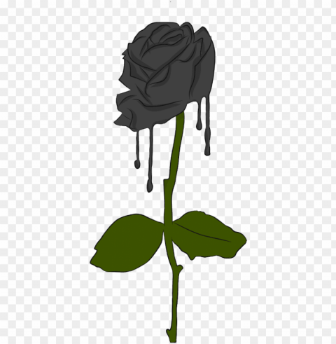 Rose Black Blackrose Green - Illustratio PNG Icons With Transparency