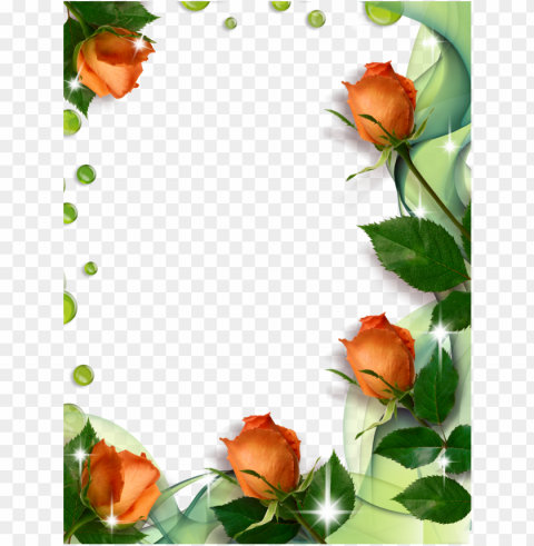 rose border - bordes y marcos para portadas con flores PNG images with no background free download