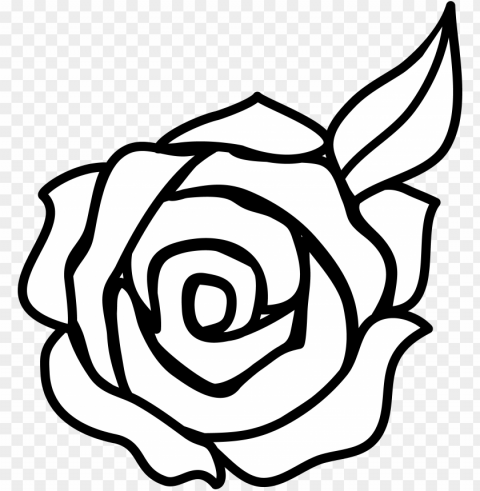 rose clip art - art rose drawi Clean Background Isolated PNG Graphic Detail