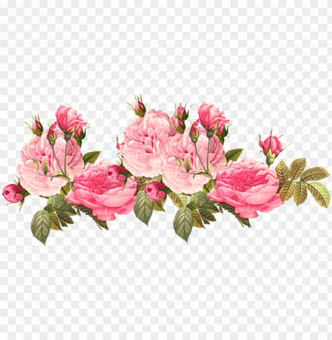 rose clipart tumblr - pink roses vintage PNG download free PNG transparent with Clear Background ID ffff624c