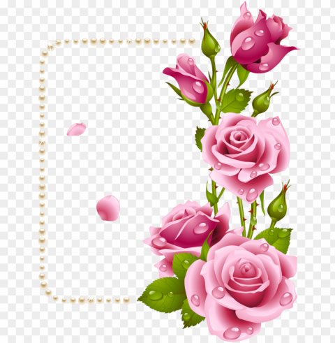 rose dil good morni Isolated Graphic on Clear Transparent PNG