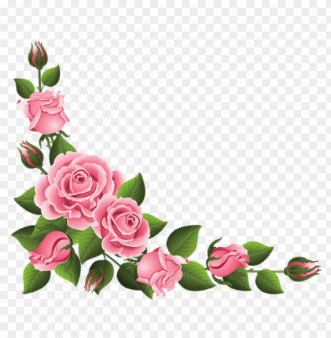 rose fleur High-resolution PNG images with transparency wide set