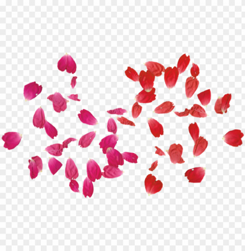 rose leaves png tumblr adobe photoshop - draw a rose petal Clear background PNGs