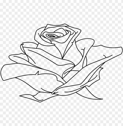 rose line drawing at getdrawings - rose line drawing PNG Image Isolated on Clear Backdrop