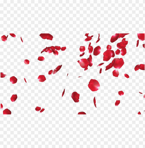 rose petals file - rose petals Isolated Subject on HighResolution Transparent PNG
