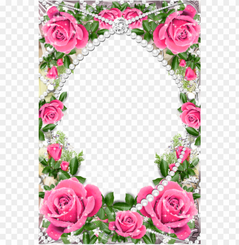 rose photo frame wallpaper - pink roses borders and frames Isolated Item on HighQuality PNG