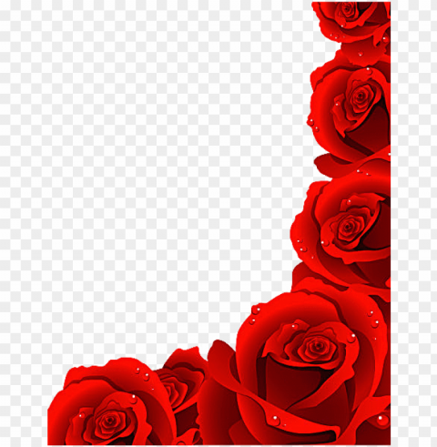 rose royalty - rose flowers images hd PNG pictures with no background