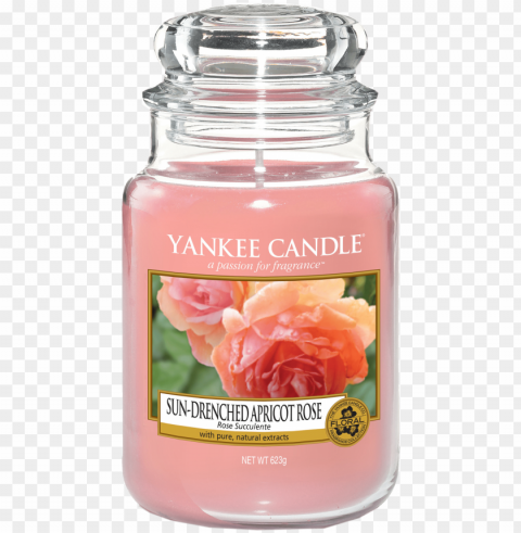 rose succulente bougie grande jar yankee candle - yankee candle crackling wood fire classic large jar PNG images without watermarks